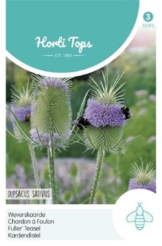 Dipsacus sativus, Štetka cca 0,5 g